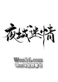 夜城谜情