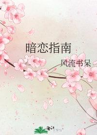 暗恋指南小说结局