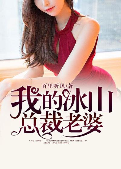 我的冰山总裁老婆宁凡