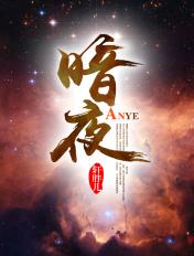 暗夜行者 电视剧