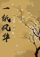 一纸风华意思