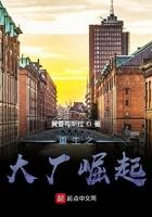 重生之大厂崛起TXT下书网