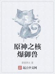 原神核爆攻略