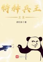 特种兵之王免费阅读全文